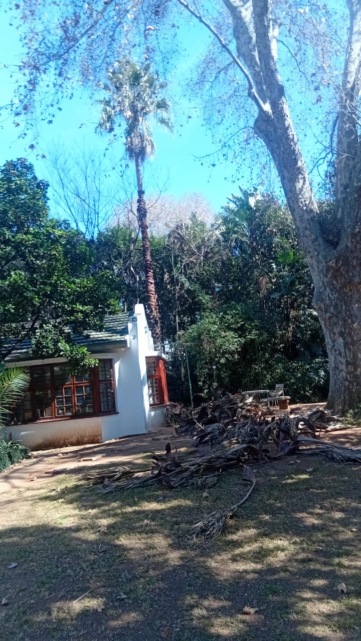 Site clean-up after tree work