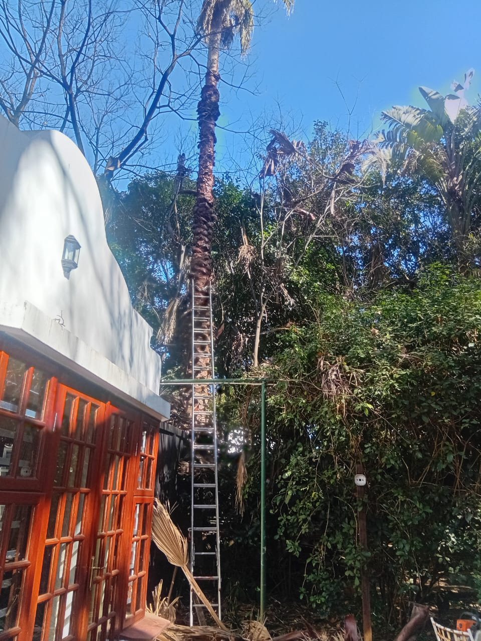 Tree work at a residential property